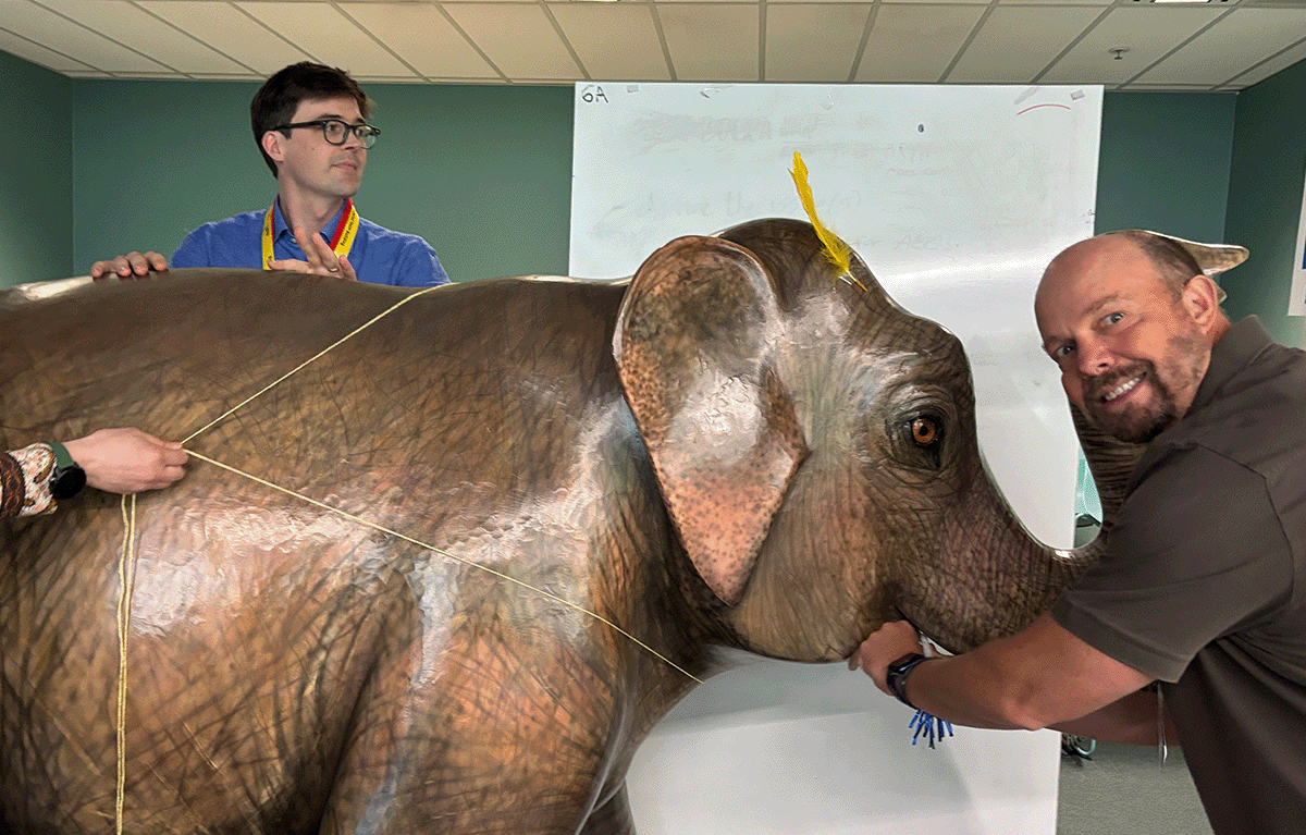 Teams enjoying a fun indoor team building day in Melbourne