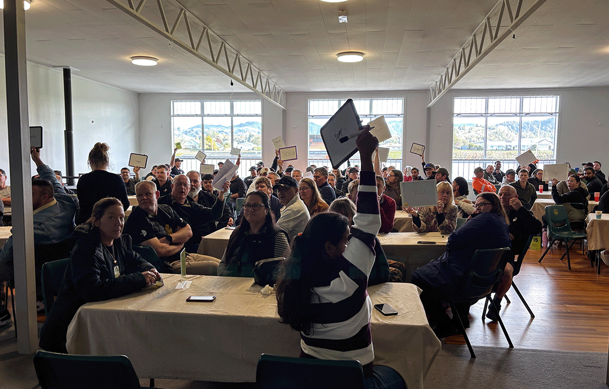 Large group team bonding event in Taumarunui with 24 teams competing in interactive Game Show challenges.